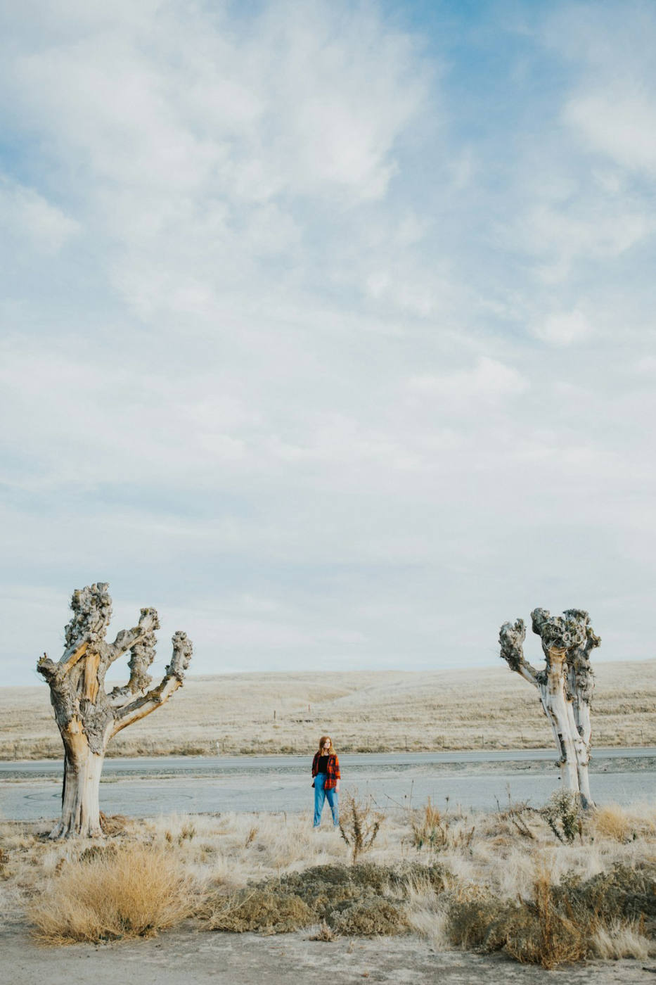 Kingsburg, California