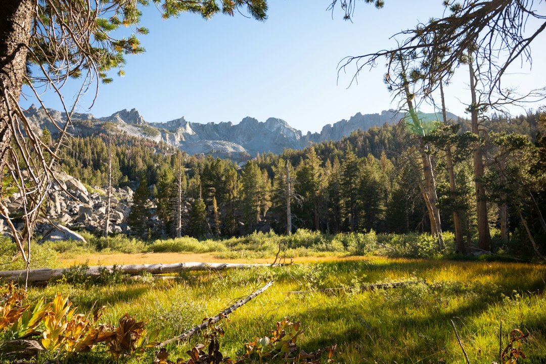 Mammoth Lakes