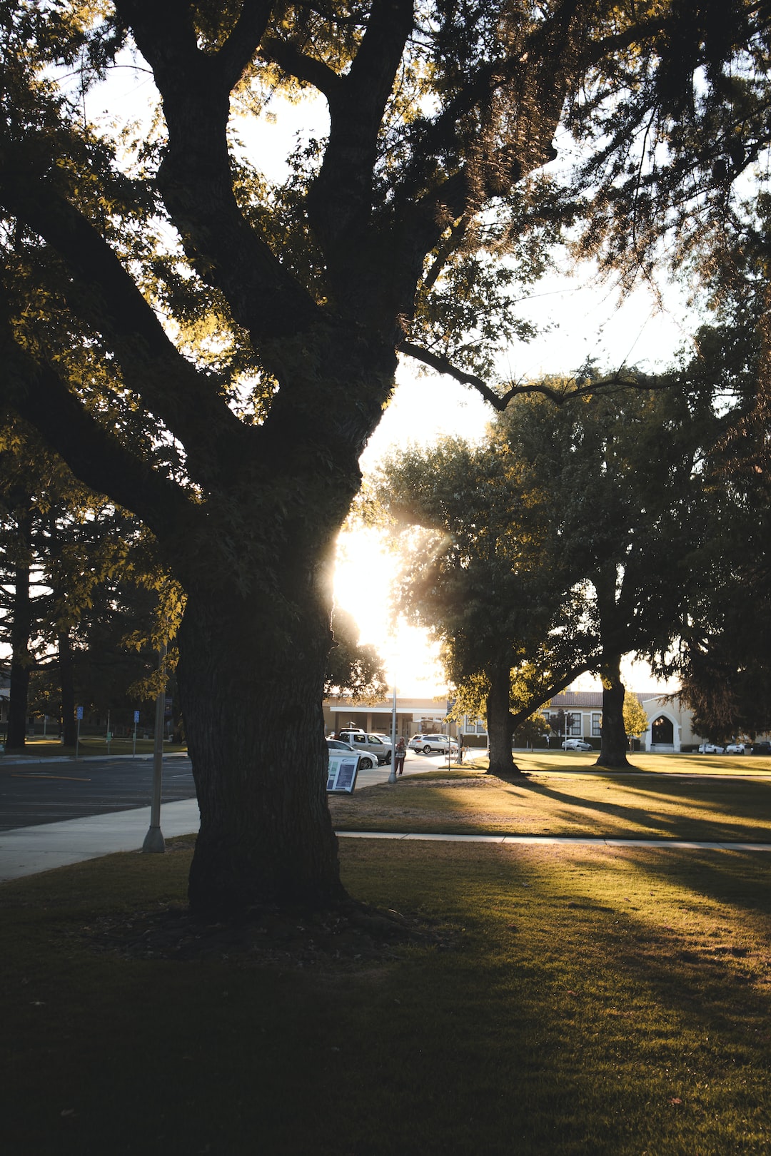 Modesto